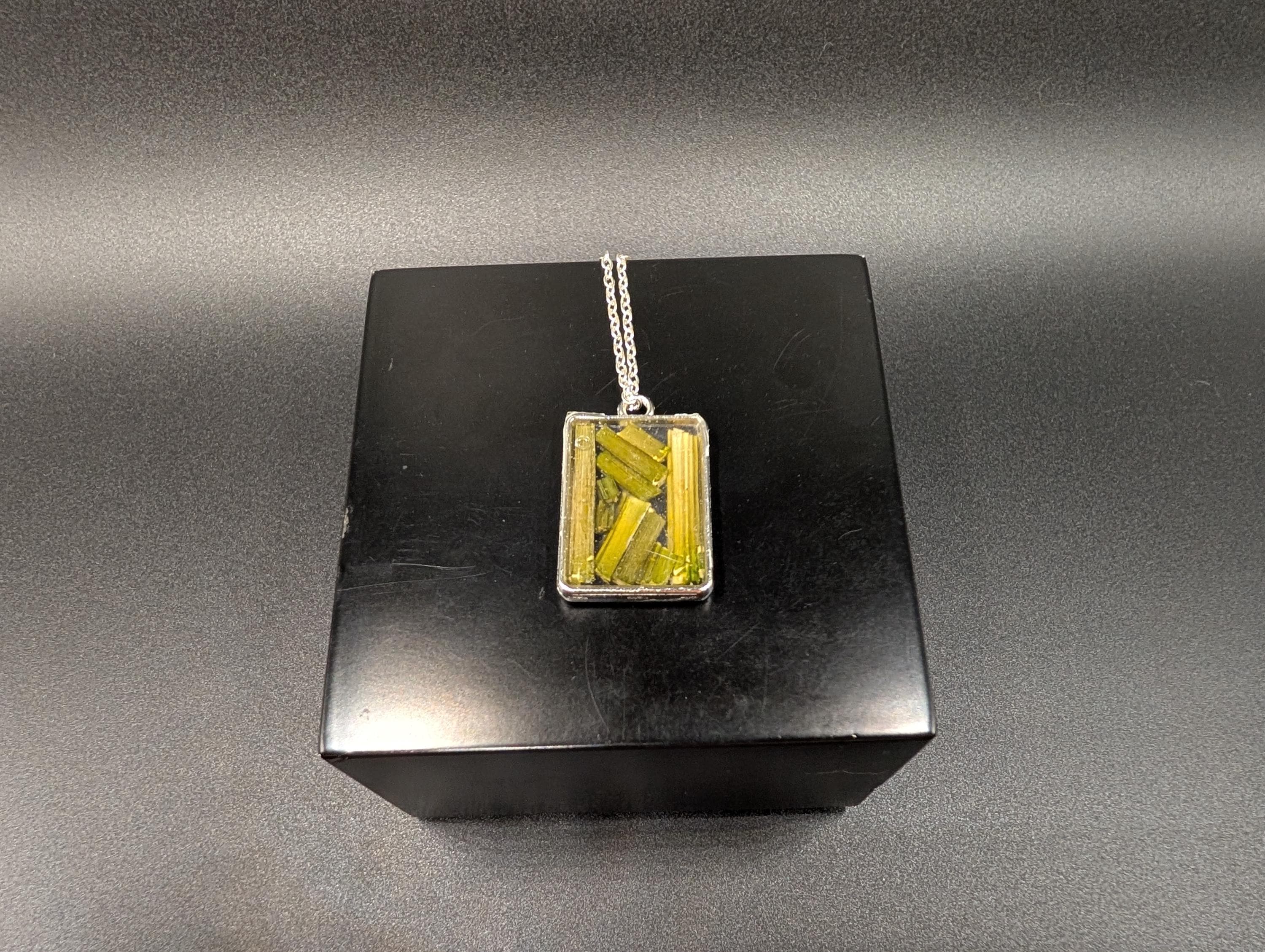 Plant Stem Botanical Light Green Necklace - Rectangular Pendant - Dried Flower Jewelry